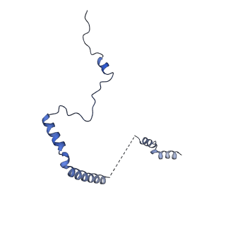 19197_8rjc_b_v1-0
Structure of the rabbit 80S ribosome stalled on a 2-TMD rhodopsin intermediate in complex with Sec61-TRAP, open conformation 1