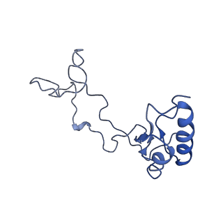 19197_8rjc_e_v1-0
Structure of the rabbit 80S ribosome stalled on a 2-TMD rhodopsin intermediate in complex with Sec61-TRAP, open conformation 1