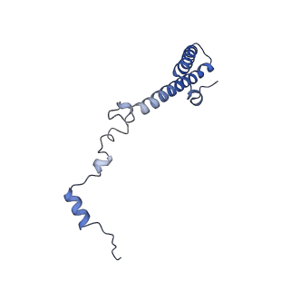 19197_8rjc_h_v1-0
Structure of the rabbit 80S ribosome stalled on a 2-TMD rhodopsin intermediate in complex with Sec61-TRAP, open conformation 1