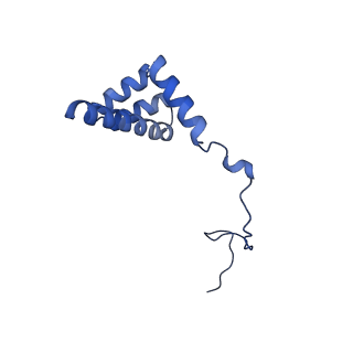 19197_8rjc_i_v1-0
Structure of the rabbit 80S ribosome stalled on a 2-TMD rhodopsin intermediate in complex with Sec61-TRAP, open conformation 1
