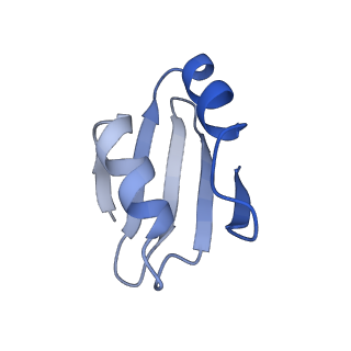 19197_8rjc_k_v1-0
Structure of the rabbit 80S ribosome stalled on a 2-TMD rhodopsin intermediate in complex with Sec61-TRAP, open conformation 1