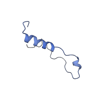 19197_8rjc_l_v1-0
Structure of the rabbit 80S ribosome stalled on a 2-TMD rhodopsin intermediate in complex with Sec61-TRAP, open conformation 1