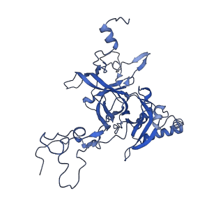 19197_8rjc_w_v1-0
Structure of the rabbit 80S ribosome stalled on a 2-TMD rhodopsin intermediate in complex with Sec61-TRAP, open conformation 1