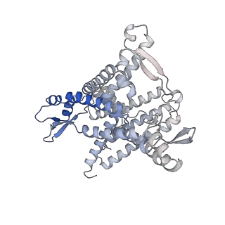 19198_8rjd_1_v1-0
Structure of the rabbit 80S ribosome stalled on a 2-TMD rhodopsin intermediate in complex with Sec61-TRAP, open conformation 2