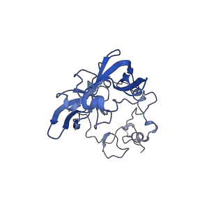 19198_8rjd_A_v1-0
Structure of the rabbit 80S ribosome stalled on a 2-TMD rhodopsin intermediate in complex with Sec61-TRAP, open conformation 2