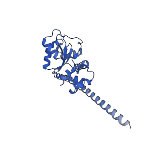 19198_8rjd_F_v1-0
Structure of the rabbit 80S ribosome stalled on a 2-TMD rhodopsin intermediate in complex with Sec61-TRAP, open conformation 2