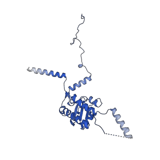 19198_8rjd_G_v1-0
Structure of the rabbit 80S ribosome stalled on a 2-TMD rhodopsin intermediate in complex with Sec61-TRAP, open conformation 2