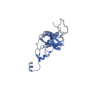 19198_8rjd_I_v1-0
Structure of the rabbit 80S ribosome stalled on a 2-TMD rhodopsin intermediate in complex with Sec61-TRAP, open conformation 2
