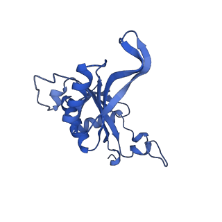 19198_8rjd_J_v1-0
Structure of the rabbit 80S ribosome stalled on a 2-TMD rhodopsin intermediate in complex with Sec61-TRAP, open conformation 2