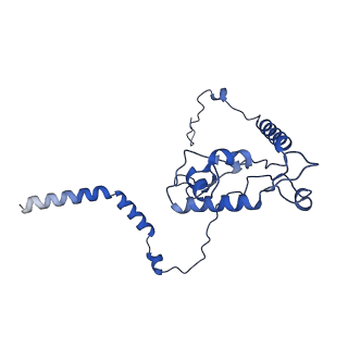 19198_8rjd_L_v1-0
Structure of the rabbit 80S ribosome stalled on a 2-TMD rhodopsin intermediate in complex with Sec61-TRAP, open conformation 2