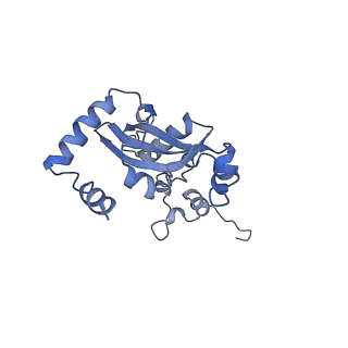 19198_8rjd_N_v1-0
Structure of the rabbit 80S ribosome stalled on a 2-TMD rhodopsin intermediate in complex with Sec61-TRAP, open conformation 2