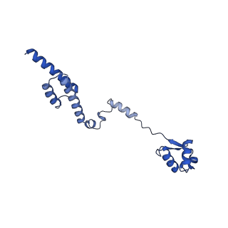 19198_8rjd_R_v1-0
Structure of the rabbit 80S ribosome stalled on a 2-TMD rhodopsin intermediate in complex with Sec61-TRAP, open conformation 2