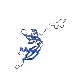 19198_8rjd_S_v1-0
Structure of the rabbit 80S ribosome stalled on a 2-TMD rhodopsin intermediate in complex with Sec61-TRAP, open conformation 2