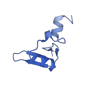 19198_8rjd_W_v1-0
Structure of the rabbit 80S ribosome stalled on a 2-TMD rhodopsin intermediate in complex with Sec61-TRAP, open conformation 2