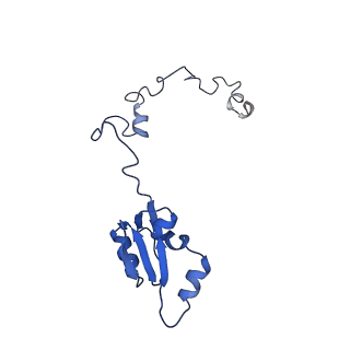 19198_8rjd_a_v1-0
Structure of the rabbit 80S ribosome stalled on a 2-TMD rhodopsin intermediate in complex with Sec61-TRAP, open conformation 2