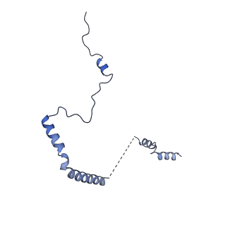 19198_8rjd_b_v1-0
Structure of the rabbit 80S ribosome stalled on a 2-TMD rhodopsin intermediate in complex with Sec61-TRAP, open conformation 2