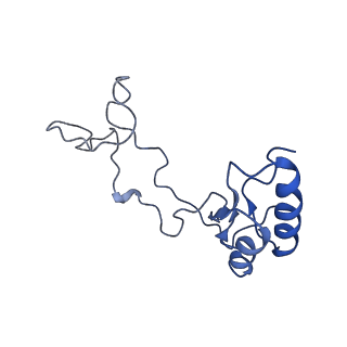 19198_8rjd_e_v1-0
Structure of the rabbit 80S ribosome stalled on a 2-TMD rhodopsin intermediate in complex with Sec61-TRAP, open conformation 2