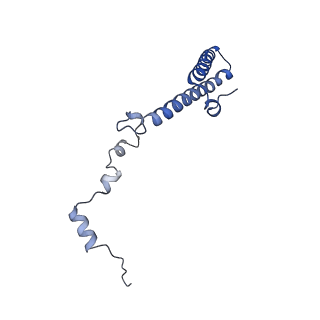 19198_8rjd_h_v1-0
Structure of the rabbit 80S ribosome stalled on a 2-TMD rhodopsin intermediate in complex with Sec61-TRAP, open conformation 2