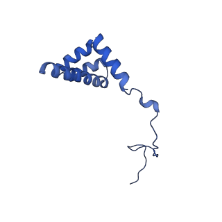 19198_8rjd_i_v1-0
Structure of the rabbit 80S ribosome stalled on a 2-TMD rhodopsin intermediate in complex with Sec61-TRAP, open conformation 2