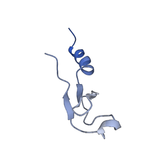 19198_8rjd_m_v1-0
Structure of the rabbit 80S ribosome stalled on a 2-TMD rhodopsin intermediate in complex with Sec61-TRAP, open conformation 2