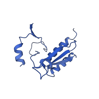 19198_8rjd_r_v1-0
Structure of the rabbit 80S ribosome stalled on a 2-TMD rhodopsin intermediate in complex with Sec61-TRAP, open conformation 2