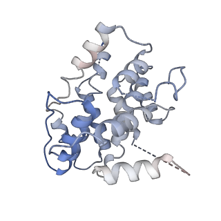 19251_8rjl_A_v1-0
Structure of a first order Sierpinski triangle formed by the H369R mutant of the citrate synthase from Synechococcus elongatus