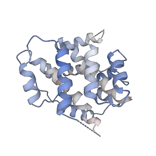 19251_8rjl_B_v1-0
Structure of a first order Sierpinski triangle formed by the H369R mutant of the citrate synthase from Synechococcus elongatus