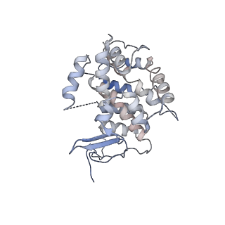 19251_8rjl_C_v1-0
Structure of a first order Sierpinski triangle formed by the H369R mutant of the citrate synthase from Synechococcus elongatus