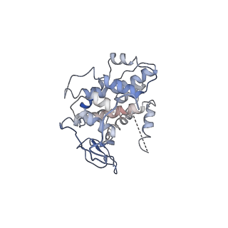 19251_8rjl_D_v1-0
Structure of a first order Sierpinski triangle formed by the H369R mutant of the citrate synthase from Synechococcus elongatus