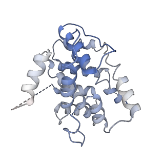 19251_8rjl_E_v1-0
Structure of a first order Sierpinski triangle formed by the H369R mutant of the citrate synthase from Synechococcus elongatus