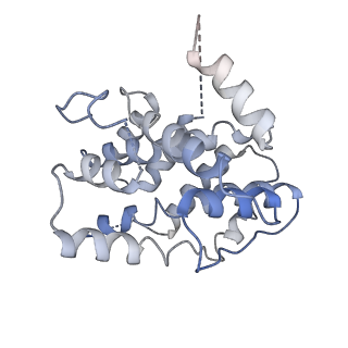 19251_8rjl_F_v1-0
Structure of a first order Sierpinski triangle formed by the H369R mutant of the citrate synthase from Synechococcus elongatus