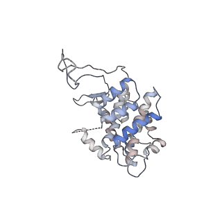 19251_8rjl_H_v1-0
Structure of a first order Sierpinski triangle formed by the H369R mutant of the citrate synthase from Synechococcus elongatus