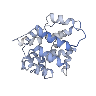 19251_8rjl_I_v1-0
Structure of a first order Sierpinski triangle formed by the H369R mutant of the citrate synthase from Synechococcus elongatus