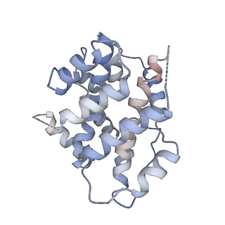 19251_8rjl_J_v1-0
Structure of a first order Sierpinski triangle formed by the H369R mutant of the citrate synthase from Synechococcus elongatus