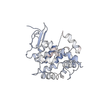 19251_8rjl_K_v1-0
Structure of a first order Sierpinski triangle formed by the H369R mutant of the citrate synthase from Synechococcus elongatus