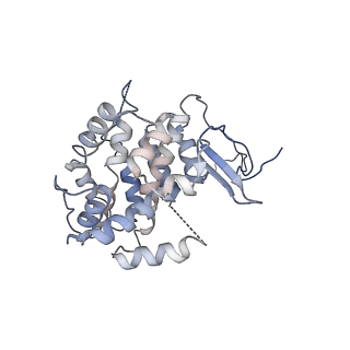 19251_8rjl_L_v1-0
Structure of a first order Sierpinski triangle formed by the H369R mutant of the citrate synthase from Synechococcus elongatus