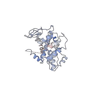 19251_8rjl_M_v1-0
Structure of a first order Sierpinski triangle formed by the H369R mutant of the citrate synthase from Synechococcus elongatus