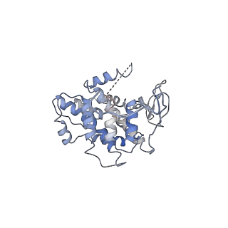 19251_8rjl_N_v1-0
Structure of a first order Sierpinski triangle formed by the H369R mutant of the citrate synthase from Synechococcus elongatus