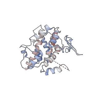 19251_8rjl_O_v1-0
Structure of a first order Sierpinski triangle formed by the H369R mutant of the citrate synthase from Synechococcus elongatus