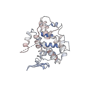 19251_8rjl_P_v1-0
Structure of a first order Sierpinski triangle formed by the H369R mutant of the citrate synthase from Synechococcus elongatus