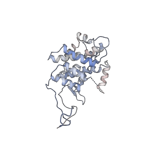 19251_8rjl_R_v1-0
Structure of a first order Sierpinski triangle formed by the H369R mutant of the citrate synthase from Synechococcus elongatus