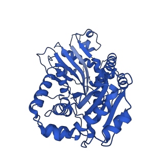 24482_7rja_A_v1-2
Complex III2 from Candida albicans, inhibitor free