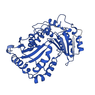 24482_7rja_B_v1-2
Complex III2 from Candida albicans, inhibitor free
