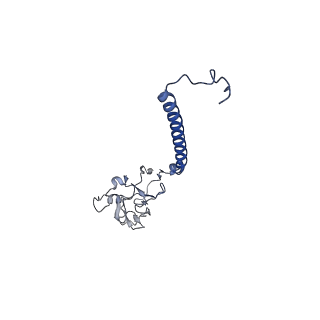24482_7rja_C_v1-2
Complex III2 from Candida albicans, inhibitor free