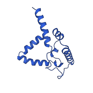 24482_7rja_G_v1-2
Complex III2 from Candida albicans, inhibitor free