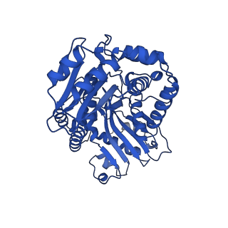 24482_7rja_J_v1-2
Complex III2 from Candida albicans, inhibitor free