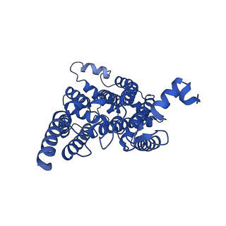 24482_7rja_K_v1-2
Complex III2 from Candida albicans, inhibitor free