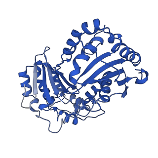 24482_7rja_L_v1-2
Complex III2 from Candida albicans, inhibitor free