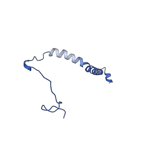 24482_7rja_P_v1-2
Complex III2 from Candida albicans, inhibitor free