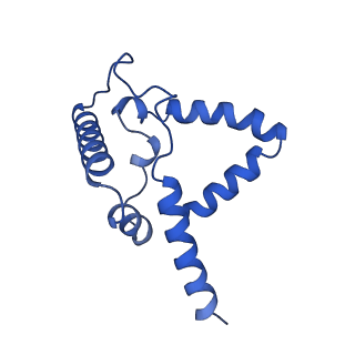 24482_7rja_Q_v1-2
Complex III2 from Candida albicans, inhibitor free
